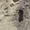 დეკანოზი იოანე ჩიგოგიძე