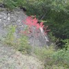 ბეთანია 1.10.2011