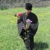 ბოლნისის ეპარქია