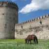 ბოლნისის ეპარქია